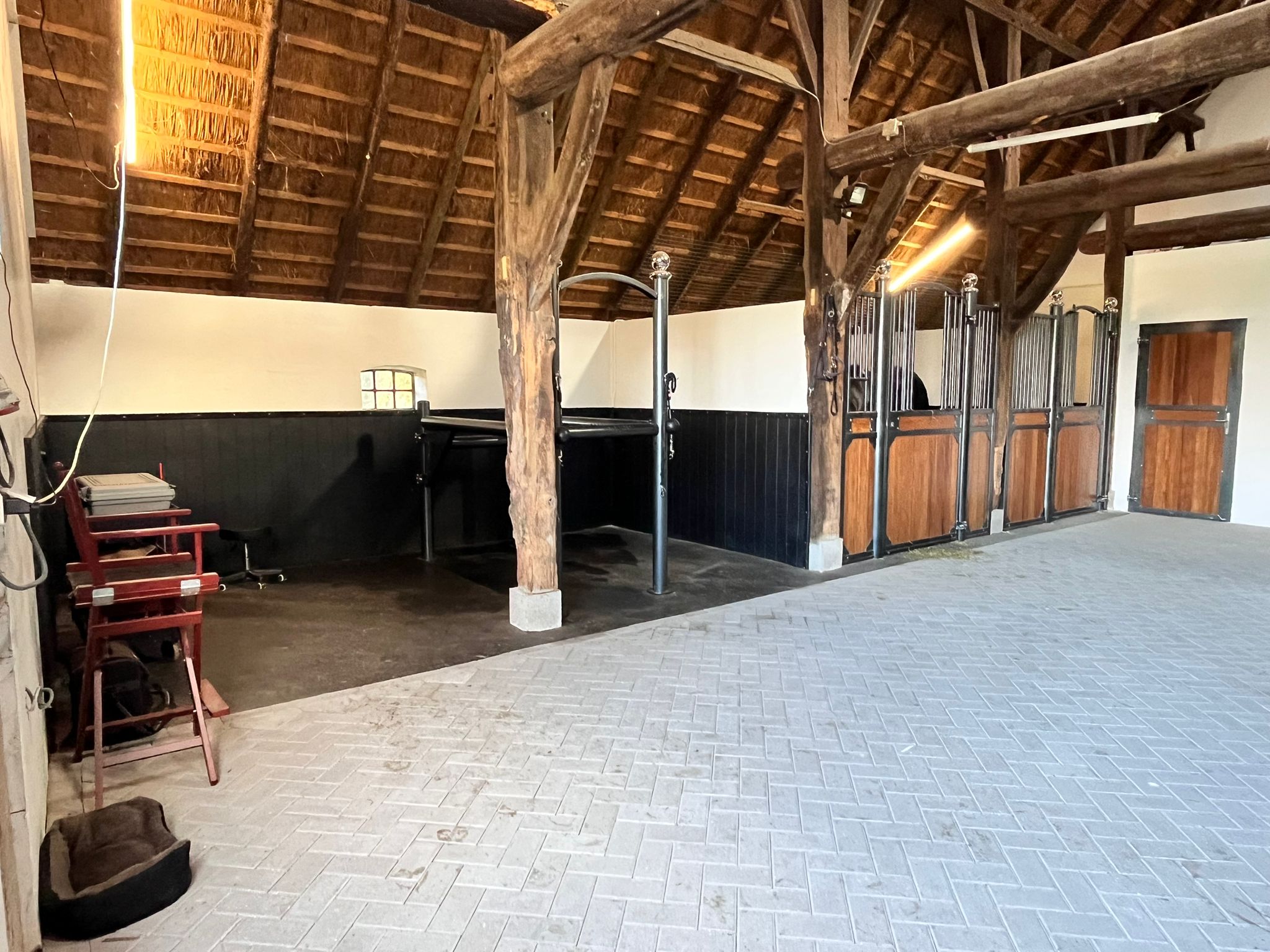 Accommodatie EquineLaser & Revalidatie