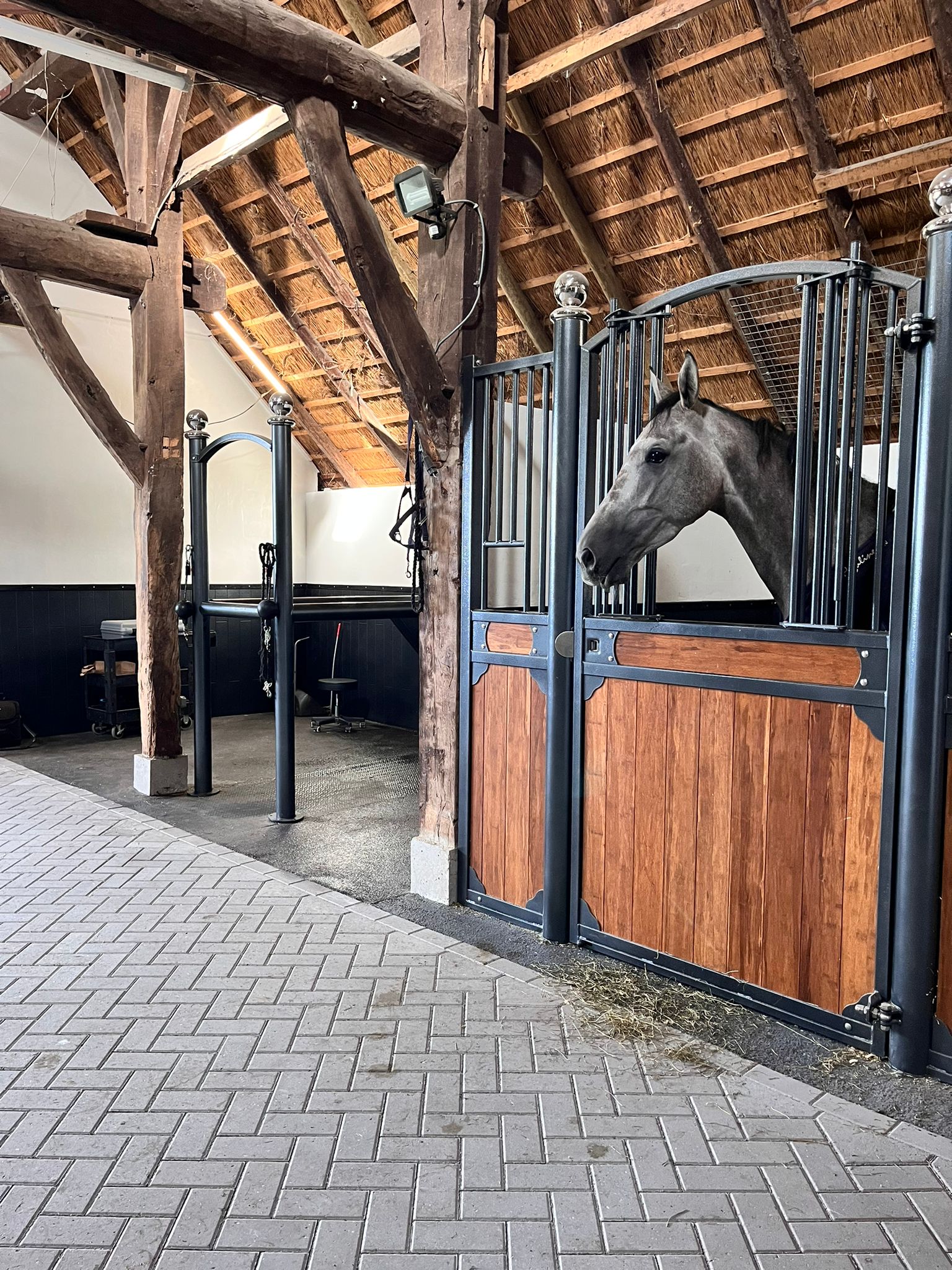 Accommodatie EquineLaser & Revalidatie
