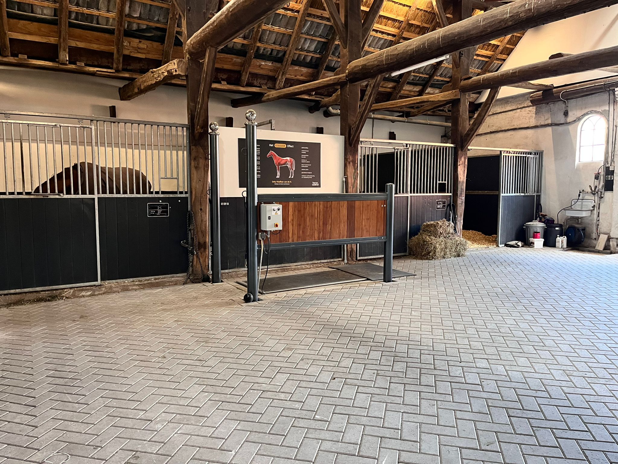 Accommodatie EquineLaser & Revalidatie